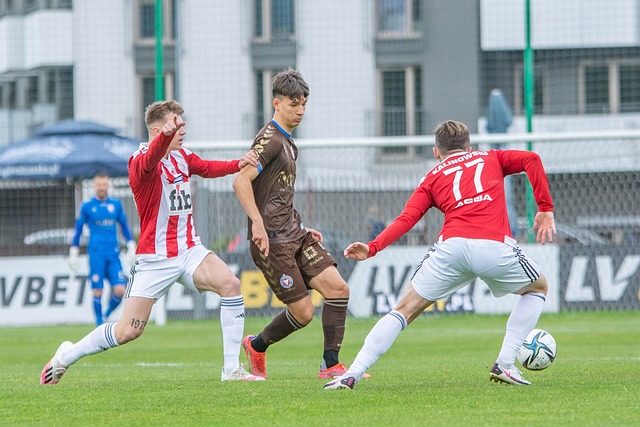 后的支撑 后的支撑