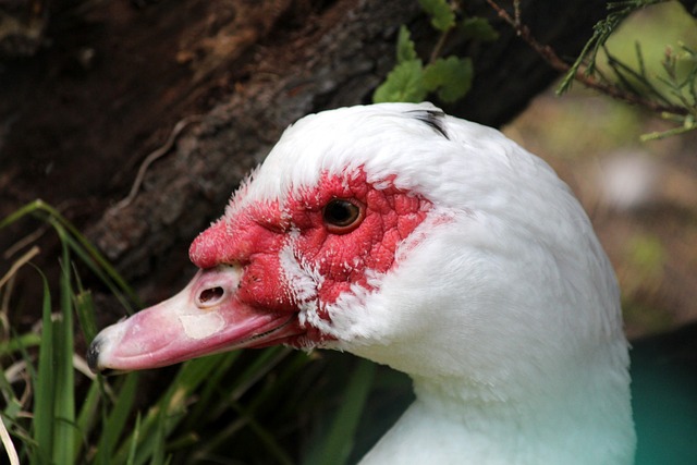 的成功举办 的成功举办