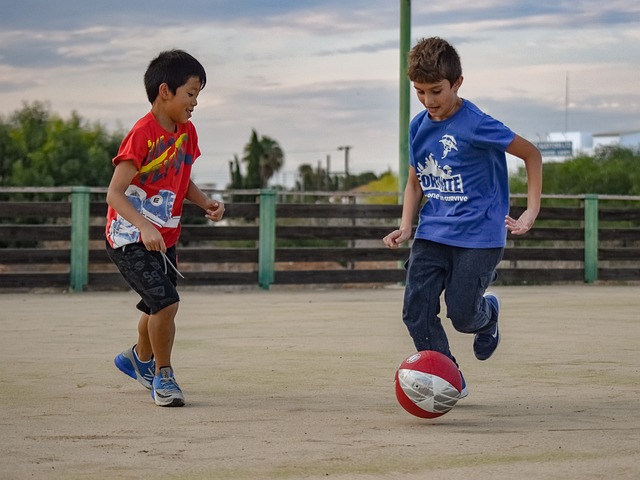 全明星头衔 全明星头衔