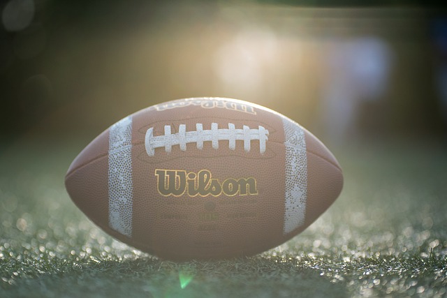 展与引进外 展与引进外